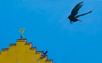 Himmel über Regensburg, Öl auf Leinwand